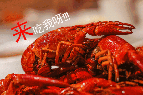 柔性線路板生產廠家