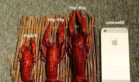 柔性線路板生產廠家