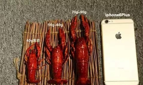 柔性線路板生產廠家