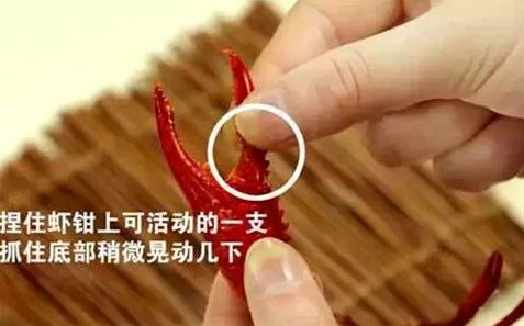 柔性線路板生產廠家