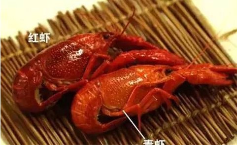 柔性線路板生產廠家