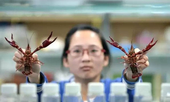 柔性線路板生產廠家