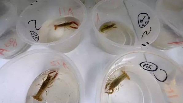 柔性線路板生產廠家