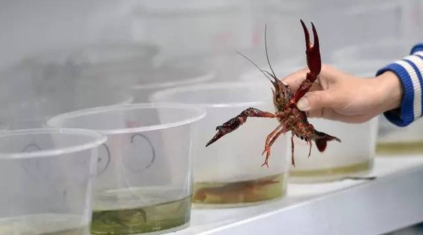 柔性線路板生產廠家