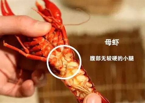 柔性線路板生產廠家